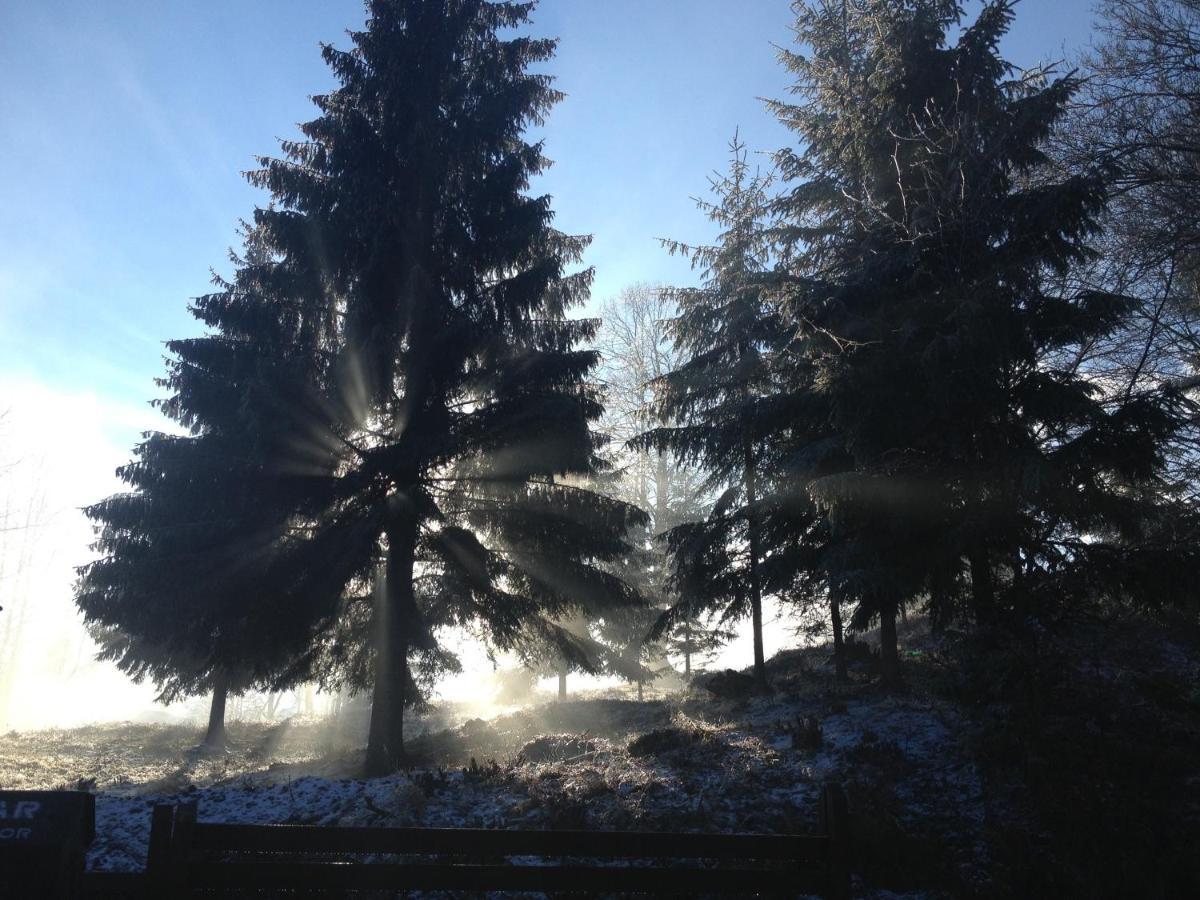 Tiesnava Rezort Kraliky Bagian luar foto
